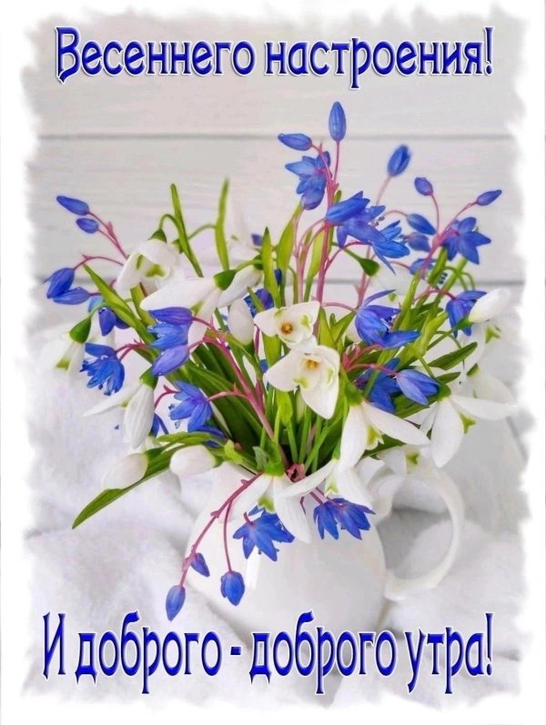 весеннего утра