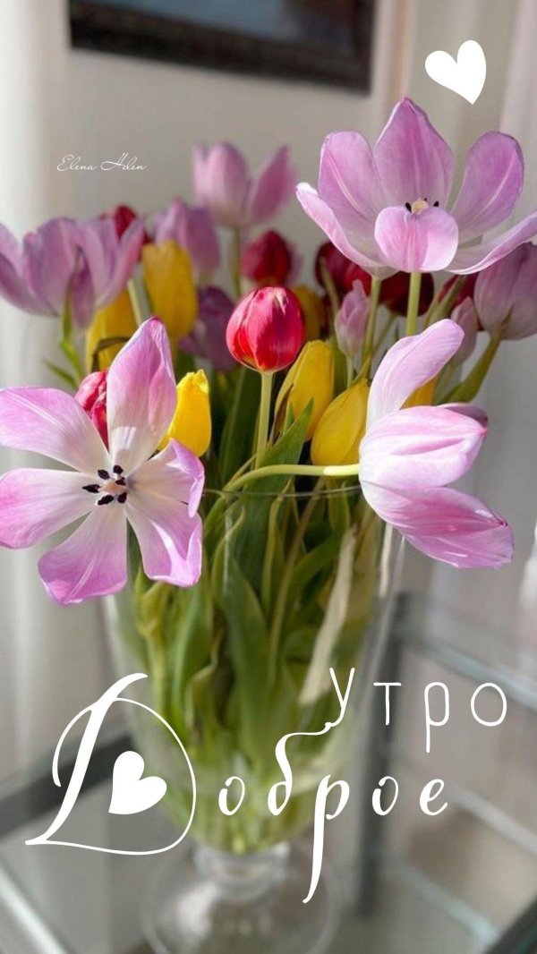 утро доброе цветы