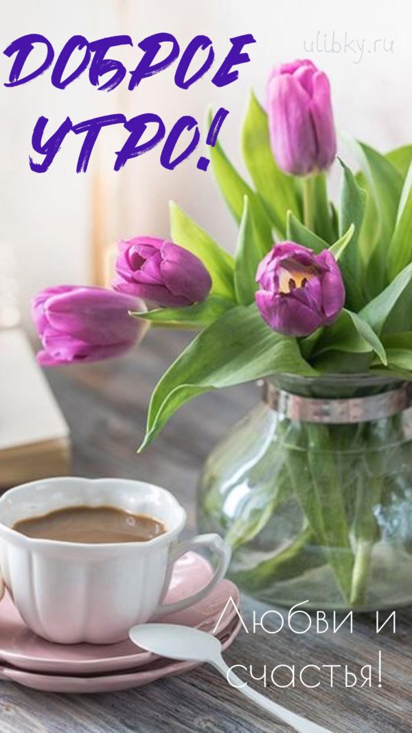 доброе утро цветы красивые