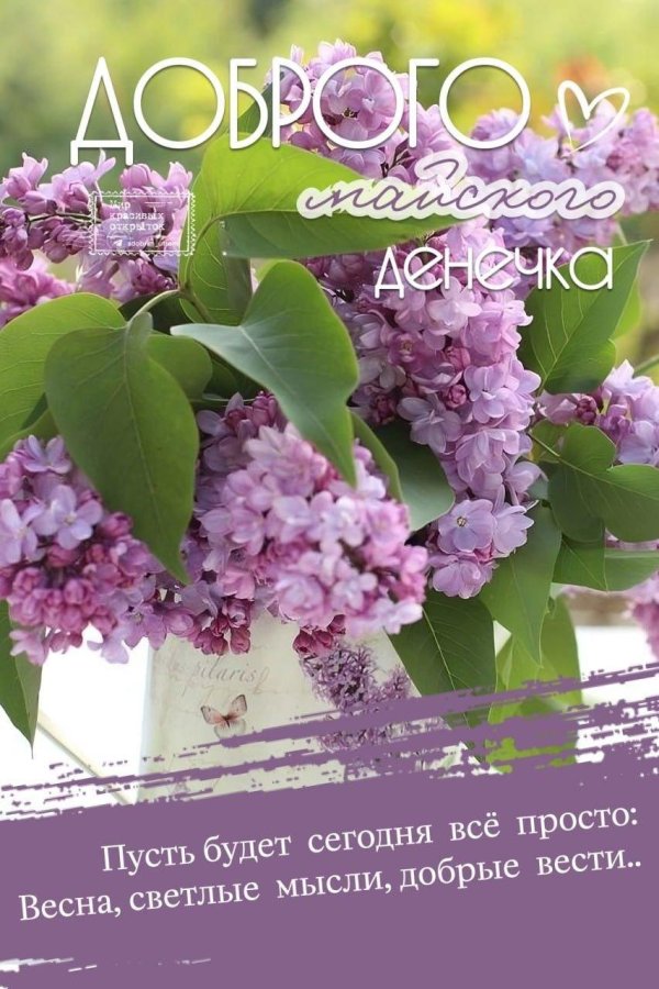 доброго майского утра