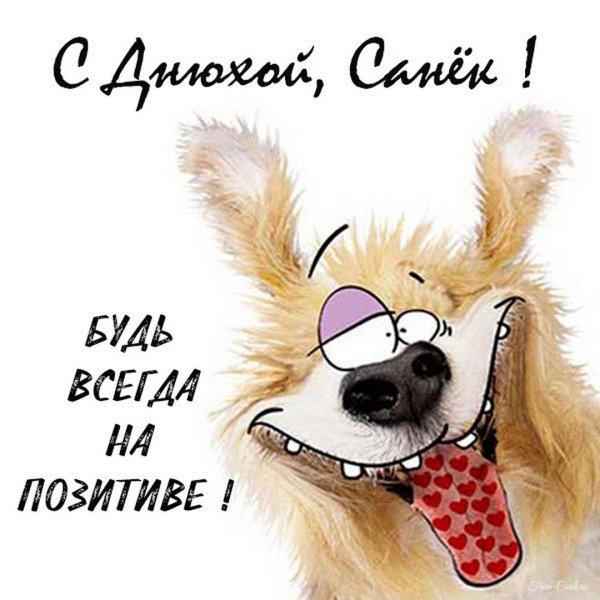 с днём рождения паша прикольные поздравления