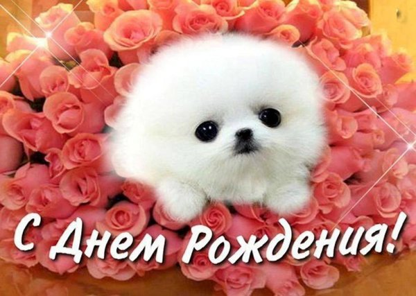 с днем рождения