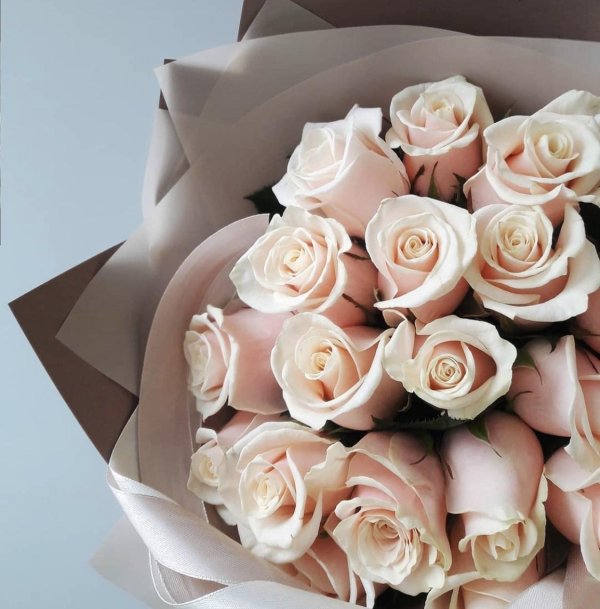 нежно розовые розы