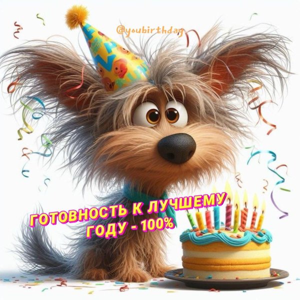 йоркширский терьер смешной