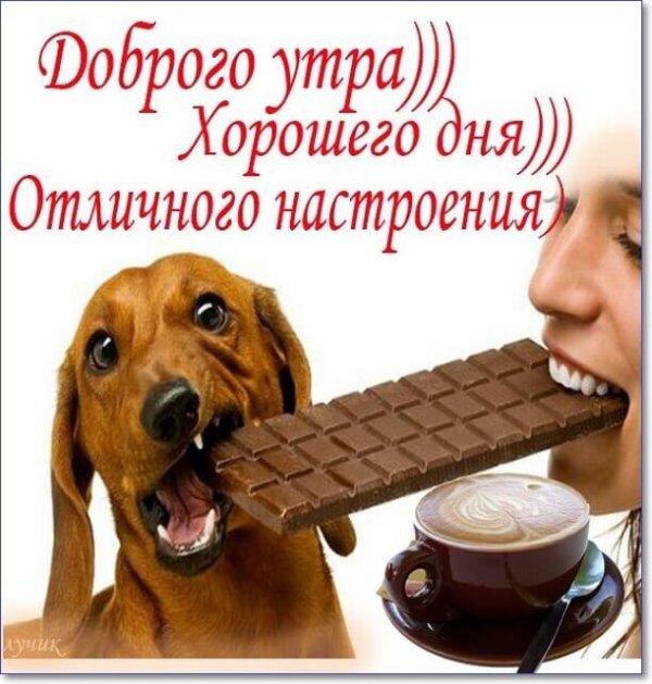доброго утра хорошего дня прикольные