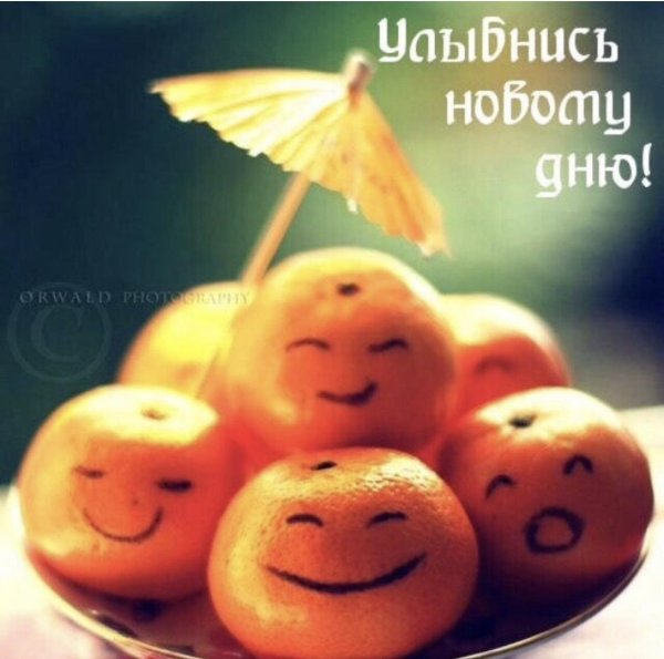 грустный мандарин