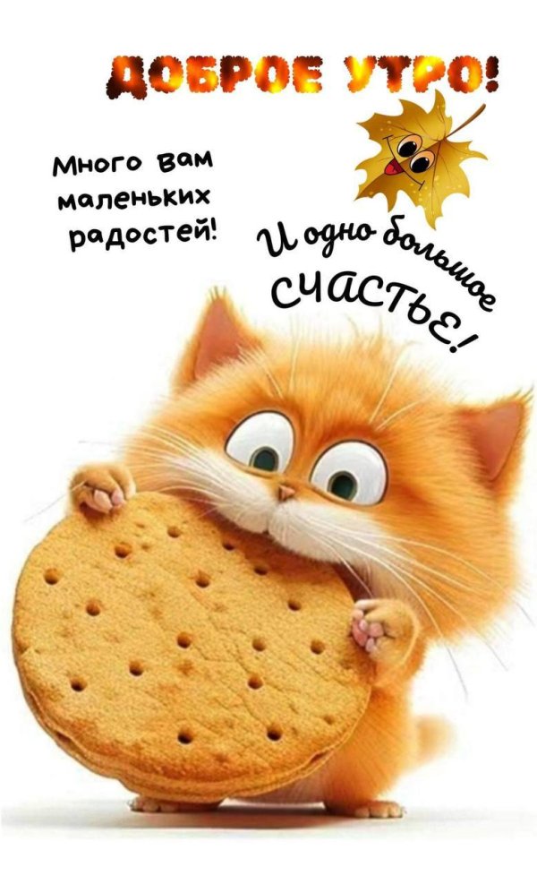 доброе утречко веселые