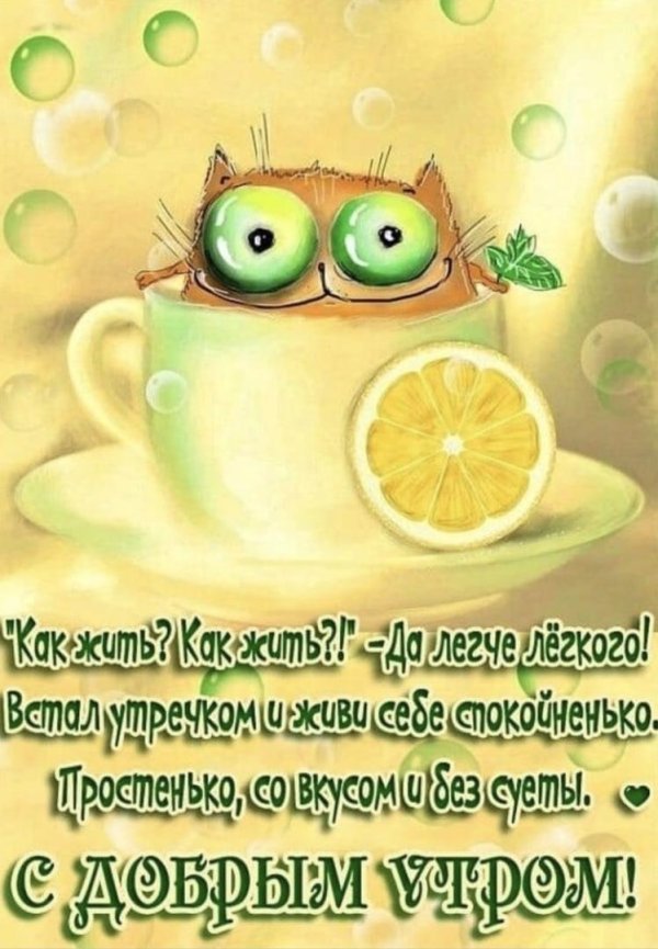 открытка с добрым утром смешная
