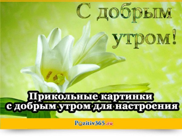 открытки с добрым утром прикольные для поднятия настроения