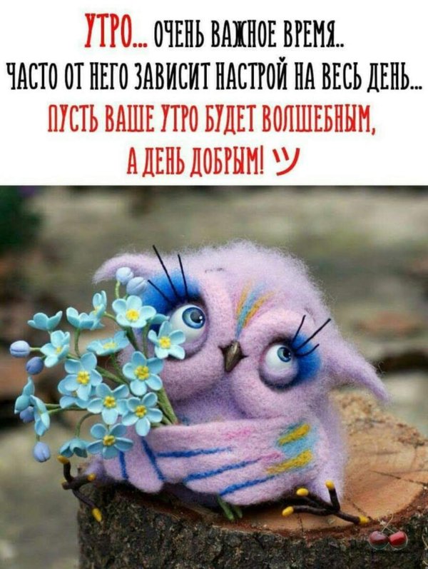 диана латышева сказочный войлок