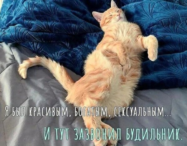 доброго субботнего утра