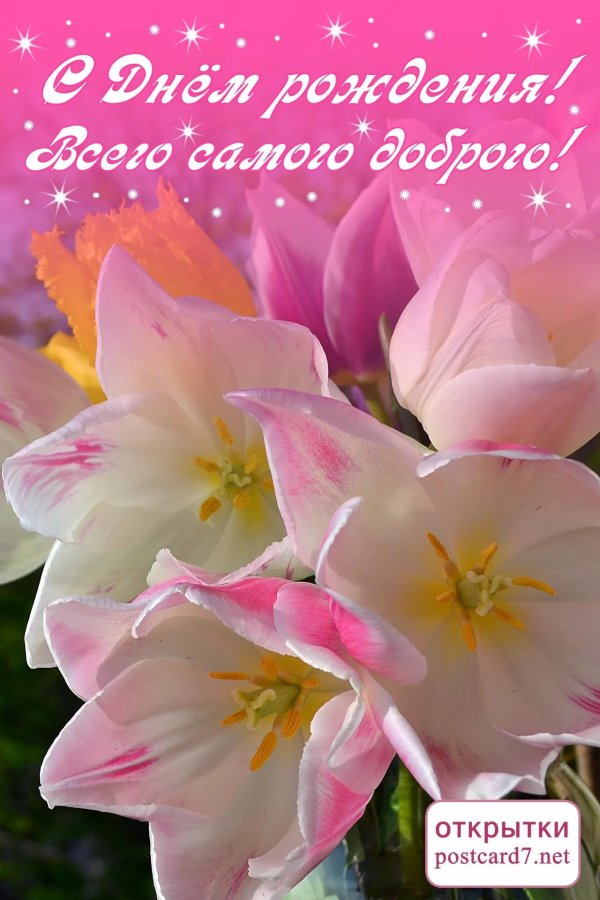 с добрым утром с тюльпанами