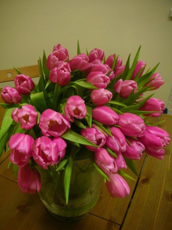 красивые букеты тюльпанов