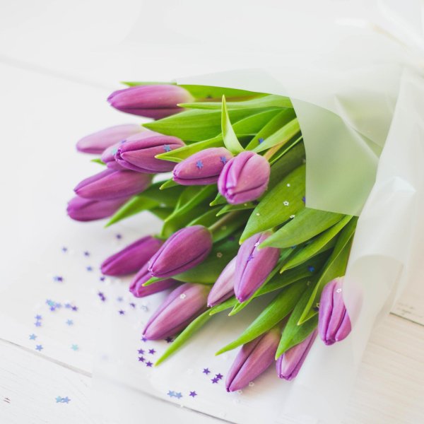 сиреневые тюльпаны