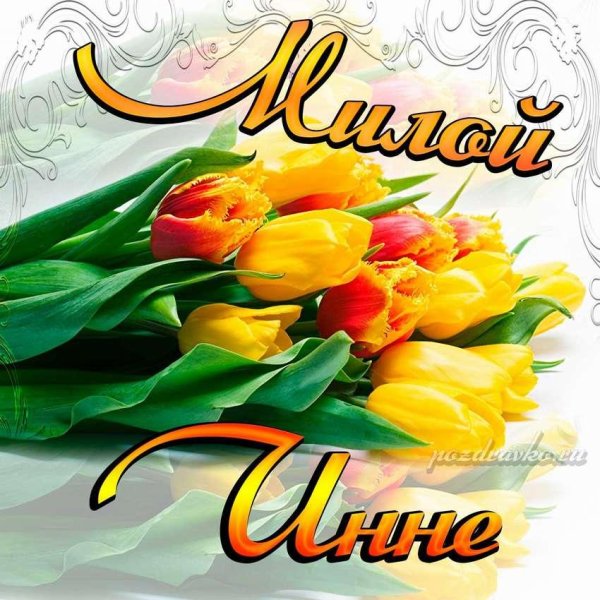 букет тюльпан