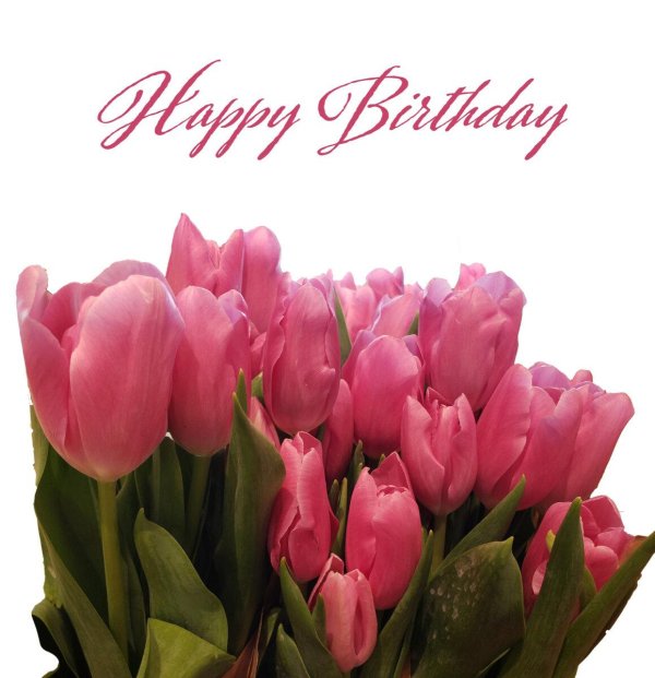 цветы день рождение