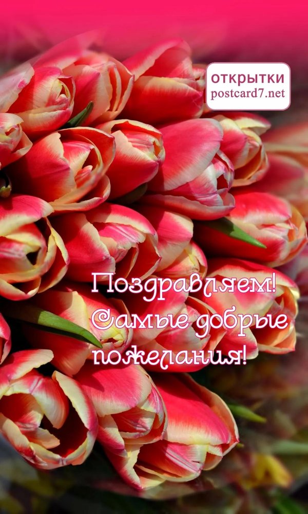 поздравляем открытка