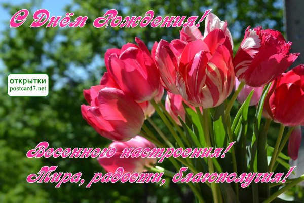 открытка с тюльпанами