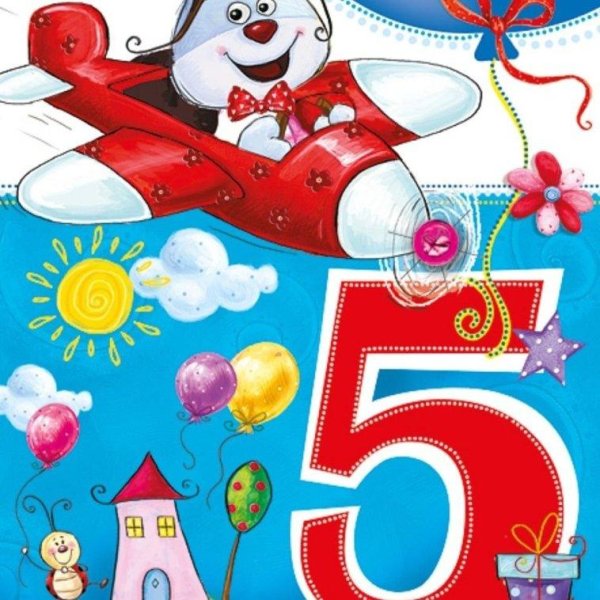 5 лет с днем рождения
