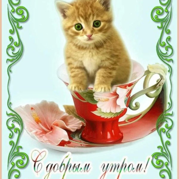 пожелания с добрымиутром