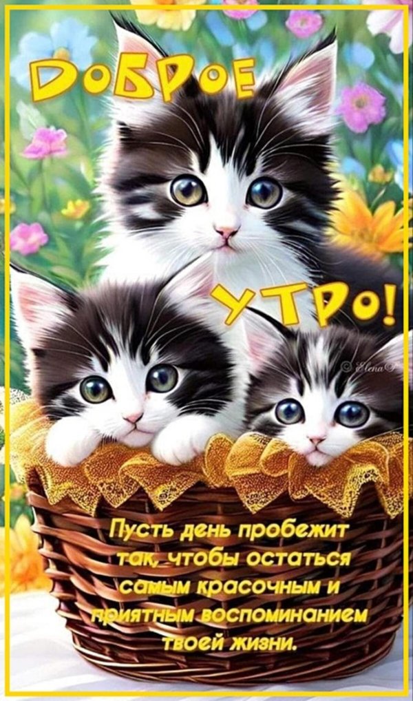 поздравительная открытка