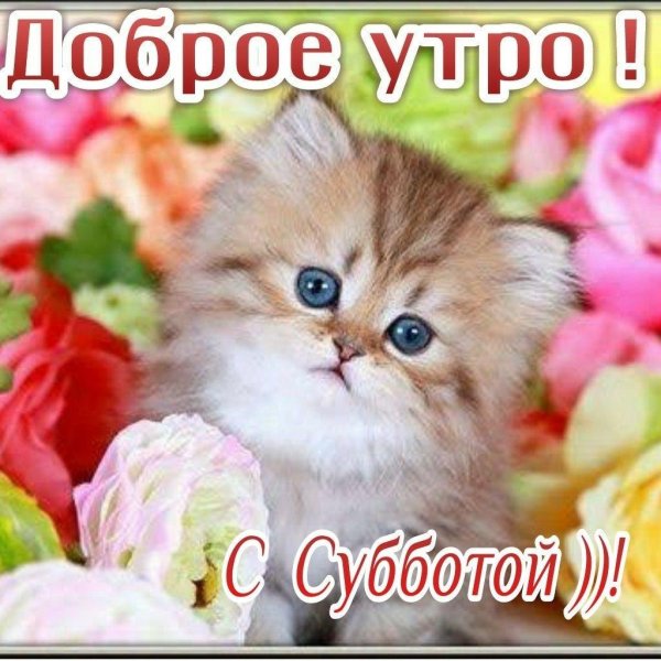 счастливой субботы