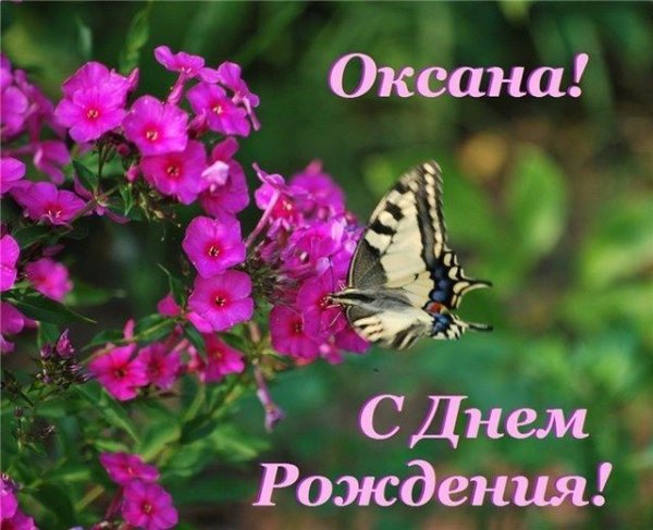 Ксюша с днем рождения с пожеланиями девушке