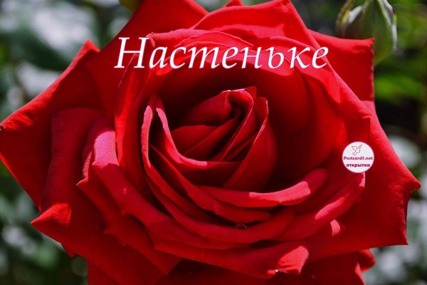 цветы для насти