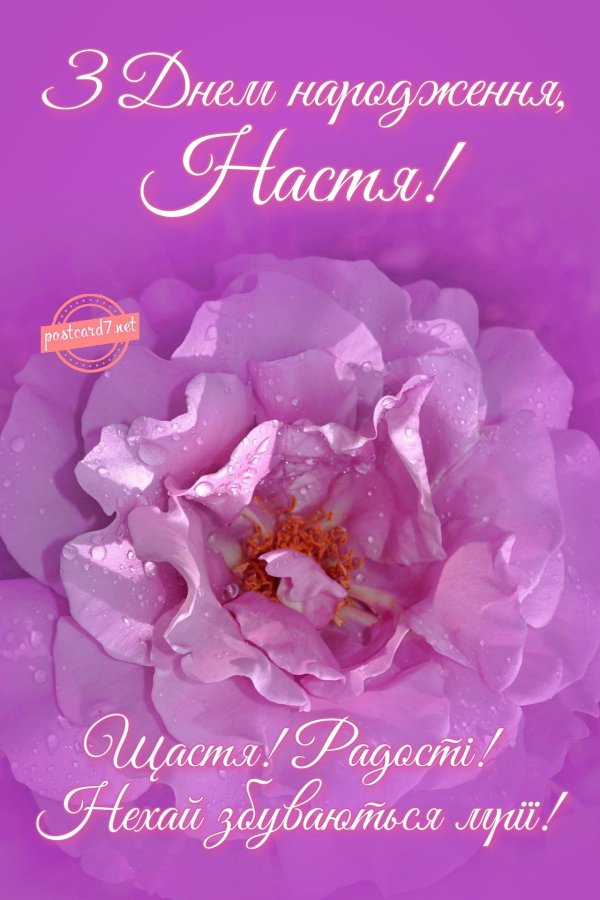 день рождения настя поздравления
