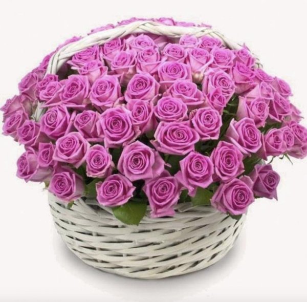 101 розовая роза