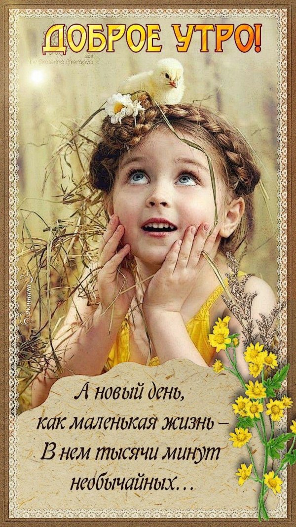 счастье в маленьких радостях