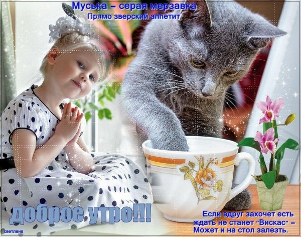 проснулись улыбнулись с добрым утром