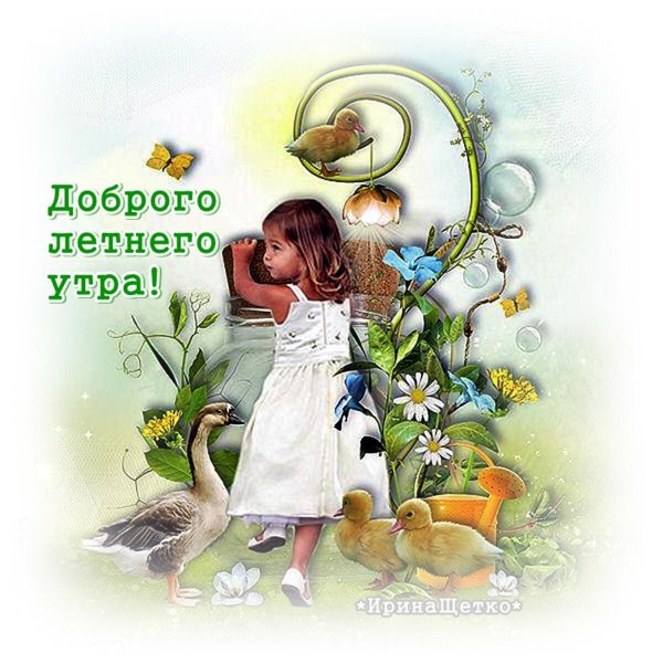 доброе доброе утро летнее