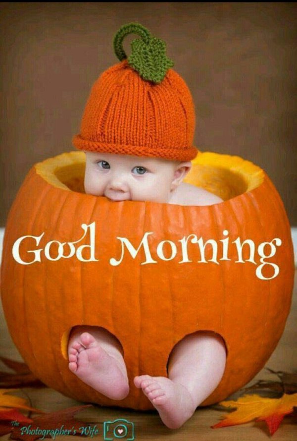 тыква для детей