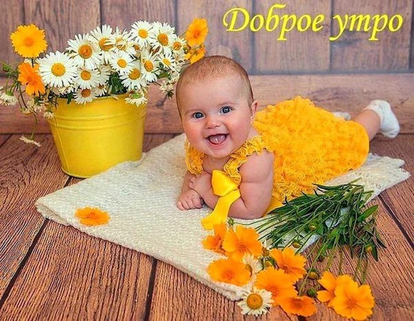 доброе утро малыш
