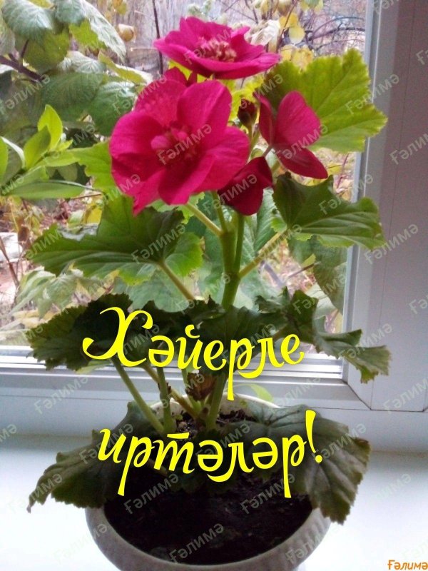 хэерле иртэлэр унышлы коннэр сэламэт булыгыз