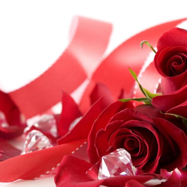 красная роза