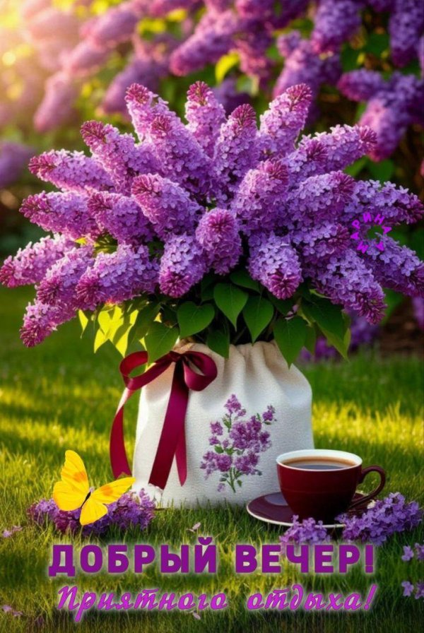 Поздравления с днем рождения жене от мужа