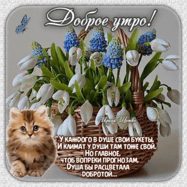 открытка доброе утро весна