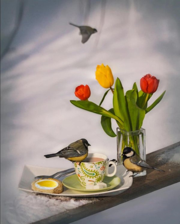 добрейшего весеннего утра