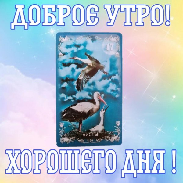 аист ленорман