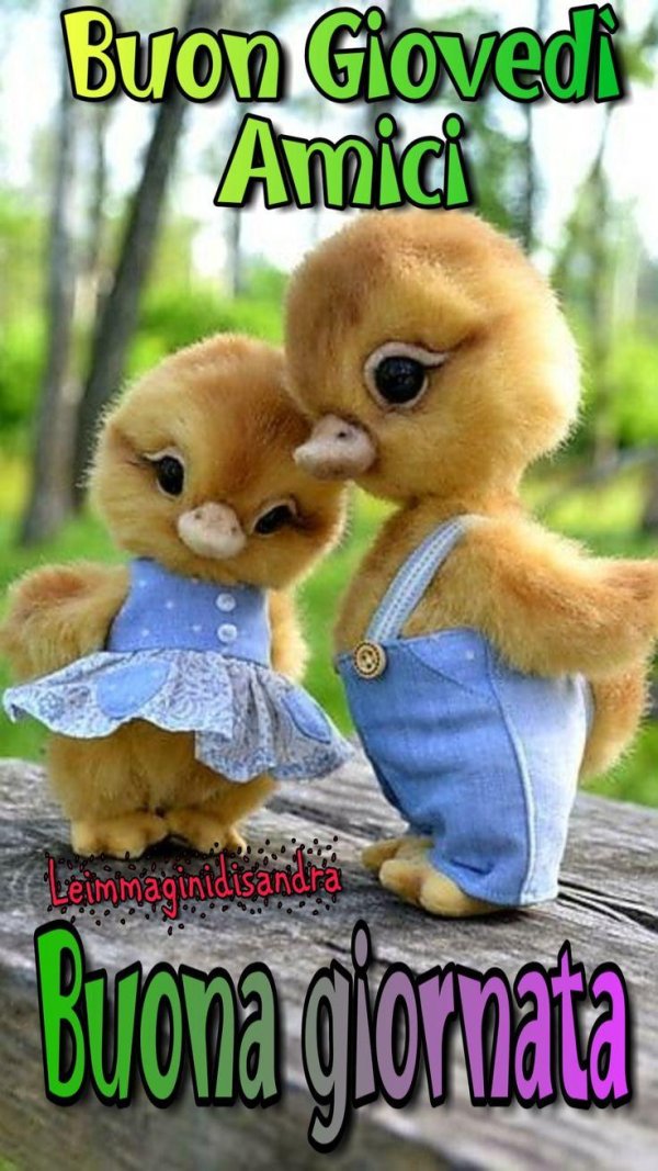 утенок тедди