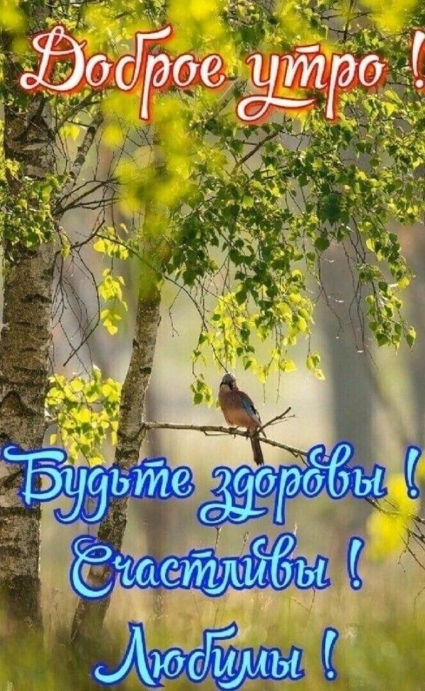 весеннее утро доброе