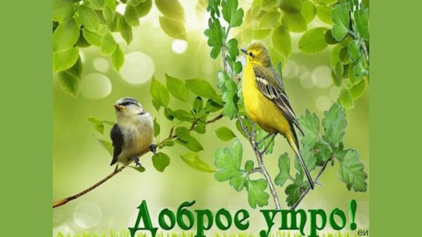 доброго утра весна