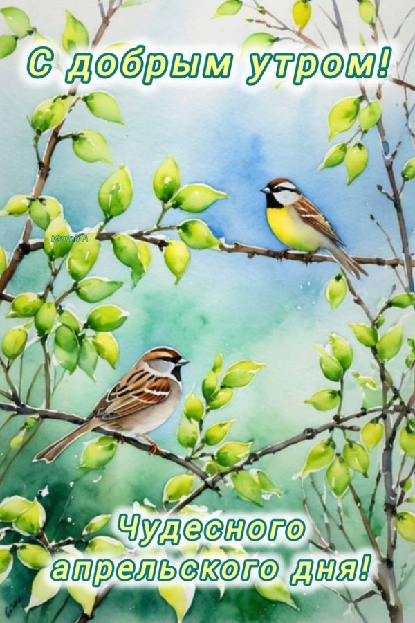 добра утра
