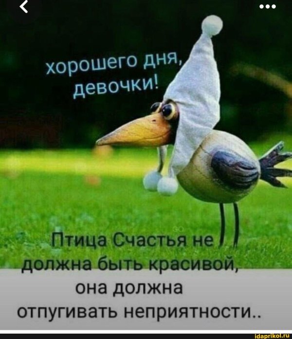 смешная птичка