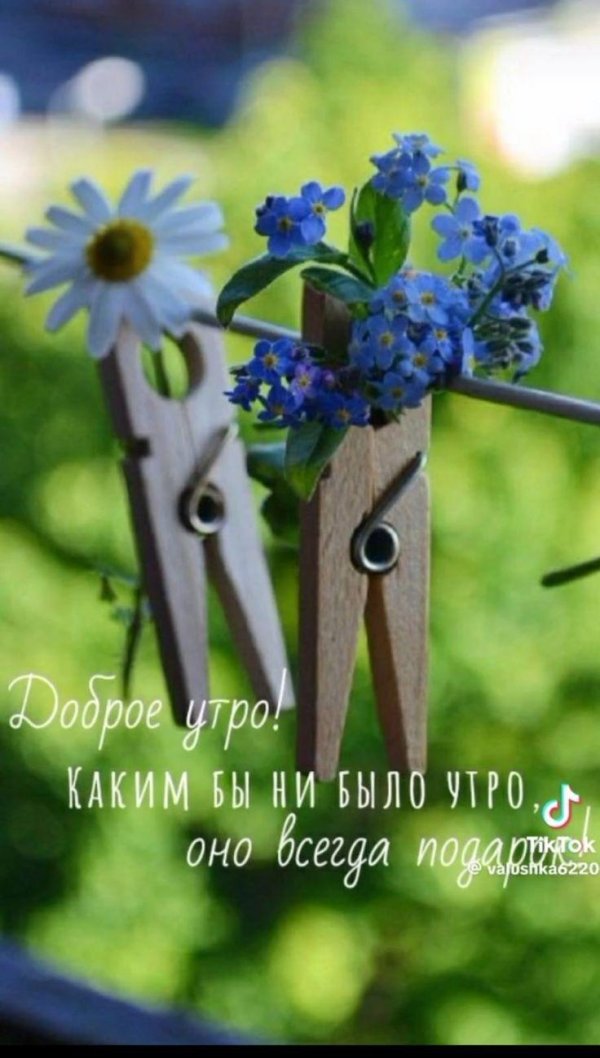 доброго утра цветы