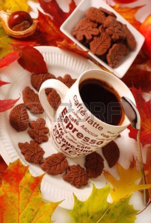 открытки с добрым утром осенние красивые с пожеланиями