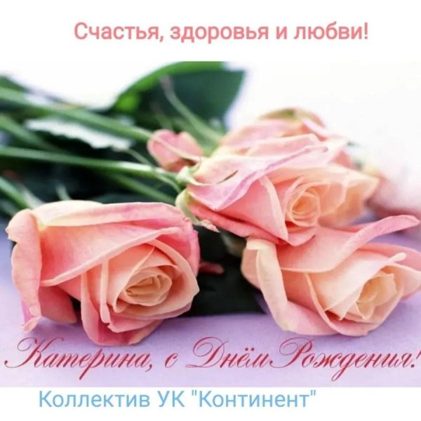 нежная роза