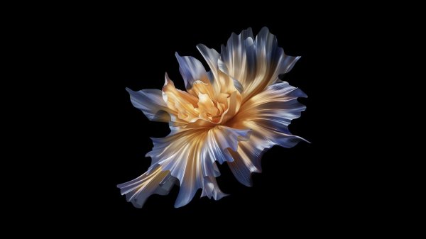 фантастические цветы